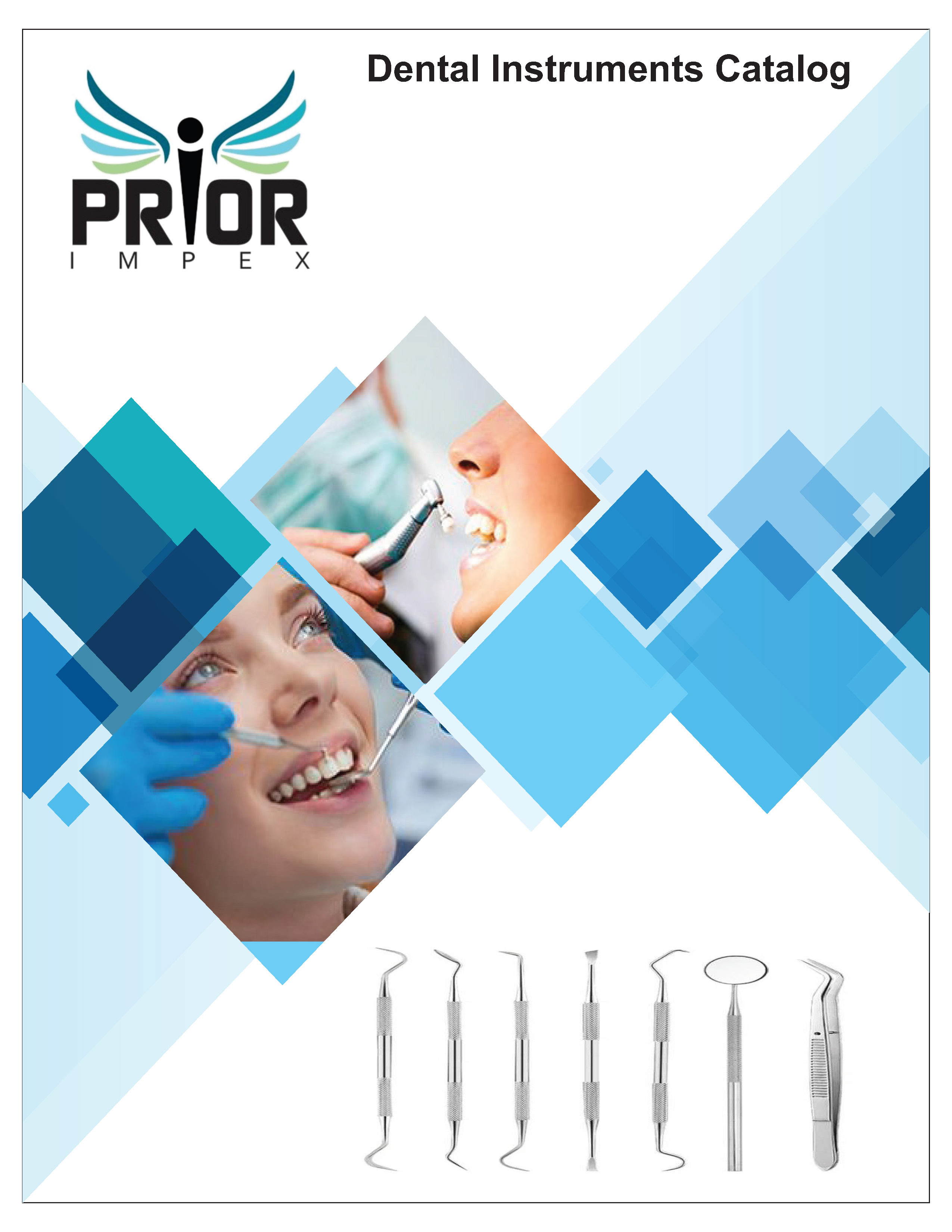 Download Dental Instrument Catalog